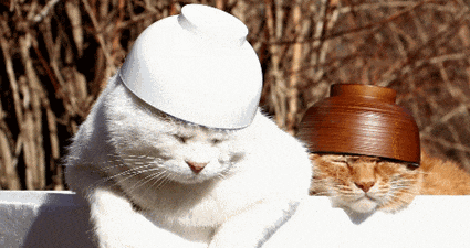 硬核研究所【冬天是身体维D水平最低的季节】上海市第十人民医院内分泌代谢科副主