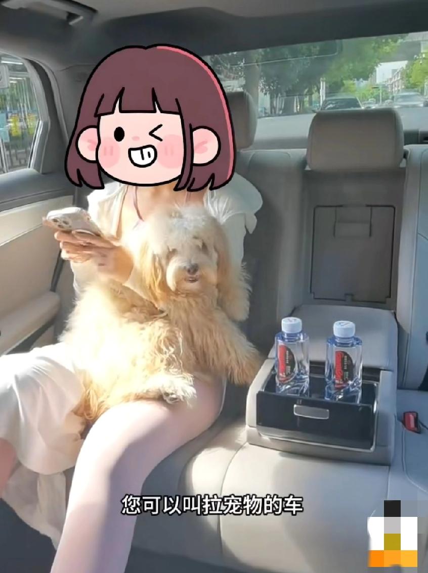 女生携带宠物狗坐专车被拒载，赖在车上不走，非要等下一辆网约车来接自己，才会选择下