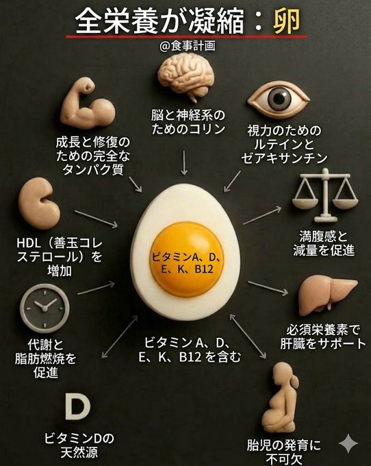 您知道鸡蛋被称为“完全营养食品”吗？当然含有蛋白质，还有保护大脑的胆碱、对眼睛有