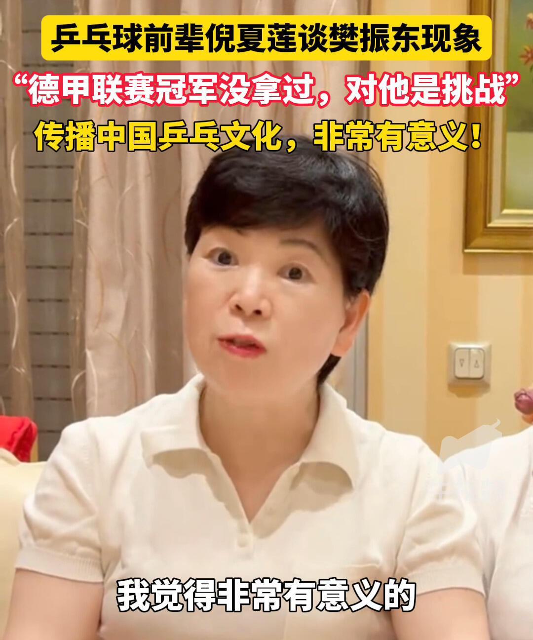 关于樊振东去德国俱乐部打球，乒乓球前辈倪夏莲终于说出客观的了，真的就是一次挑战，