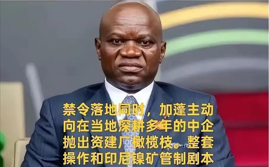 有样学样，加蓬小国效仿印尼，叫停锰矿出口，逼着中方去建厂西非小国加蓬明明白白