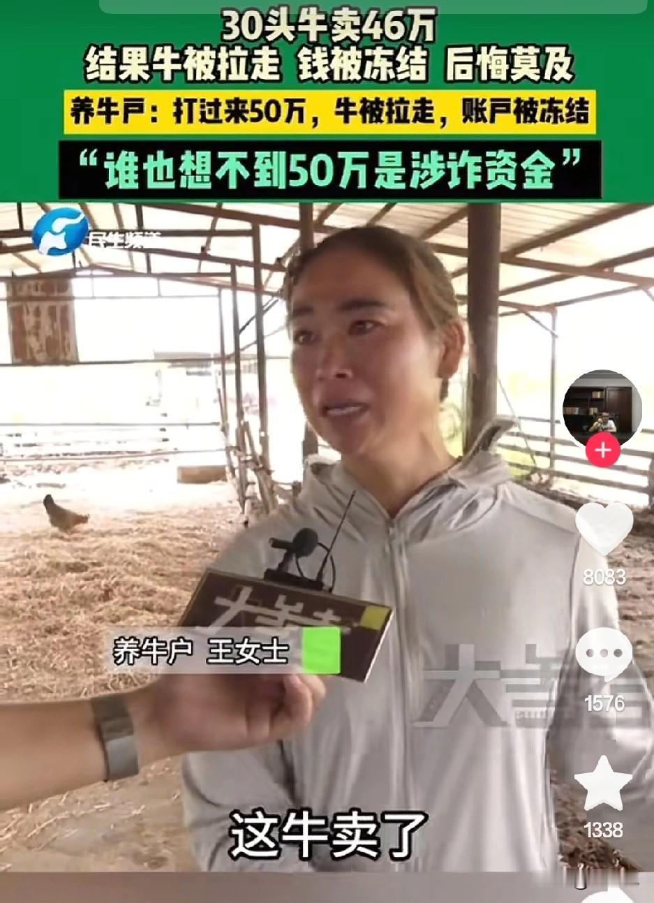 为什么这种新闻这么多，问题出在哪里？假如我是贪污犯或是诈骗犯，骗了路人甲1