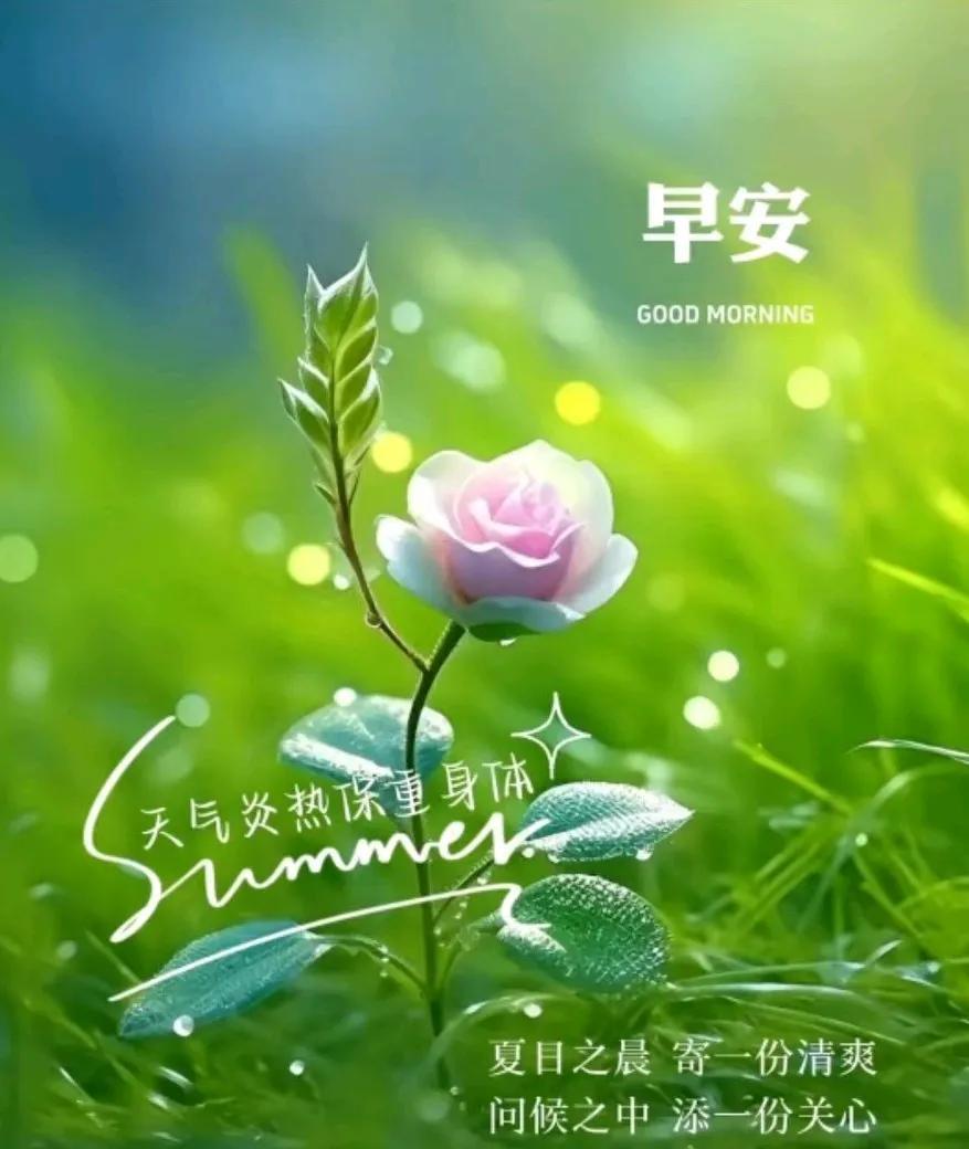 [玫瑰]早上好[玫瑰]夏日之晨寄一份清爽，问候之中添一份关心，祝福之时