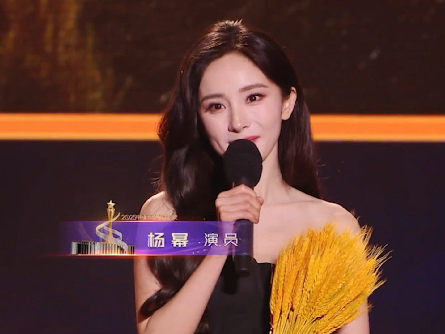 美貌大方中国广电视听精品之夜杨幂无修图～