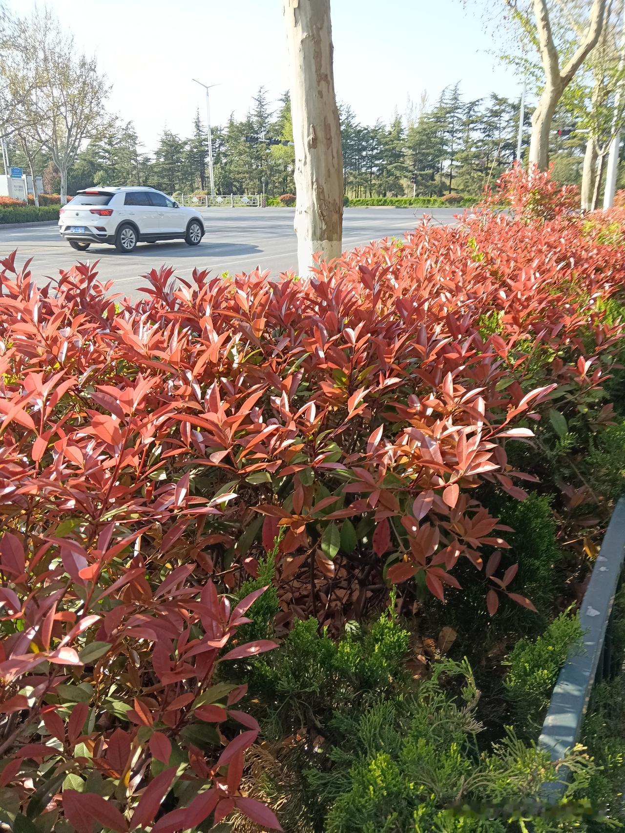 一个家庭最顶级的风水：嘴善，乃上等风水家和，为聚财财位孝亲，是积福根本屋