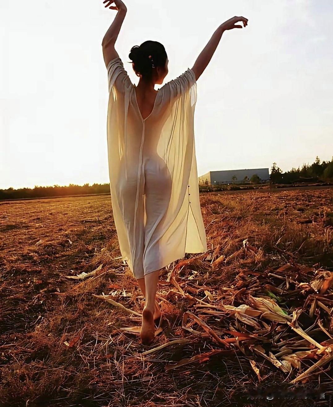 在夕阳的温柔光晕☀️里，晚风🌙轻拂过金色的田野，我与自然共舞——每一次旋转都是