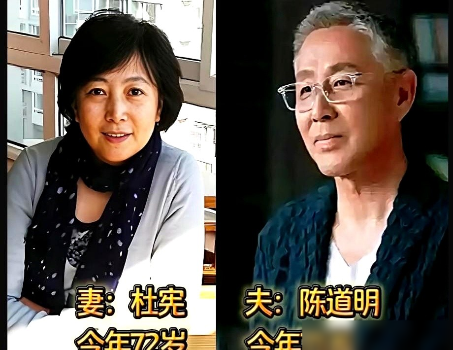 陈道明那批人还没聊完，后面这几对更狠，直接把娱乐圈的离婚剧本撕了。王雷跟李小萌，谈了八年才结婚，到2