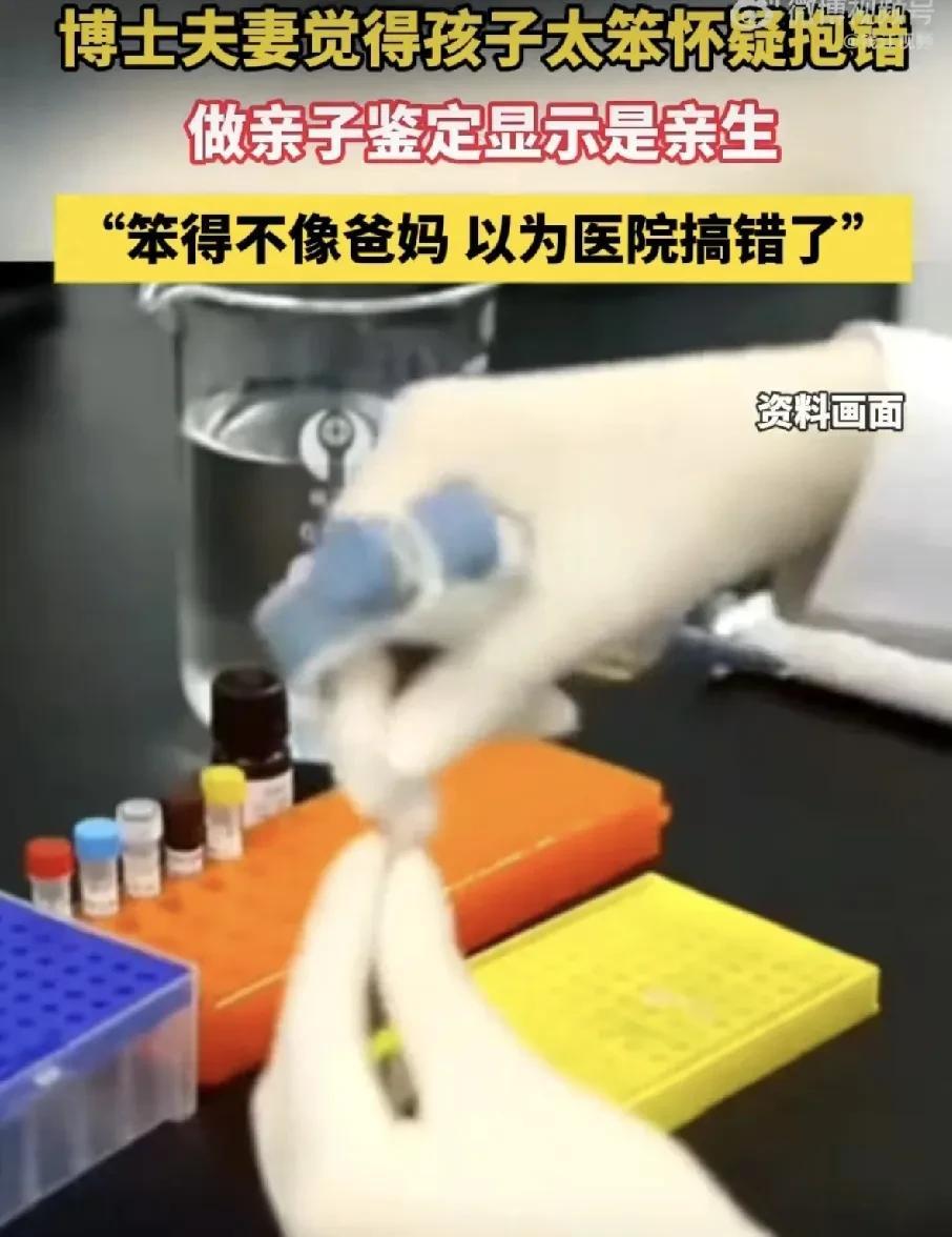 亲子鉴定惊现反转！”两位博士父母，因孩子太“笨”，竟怀疑医院抱错，悄悄做了亲子鉴