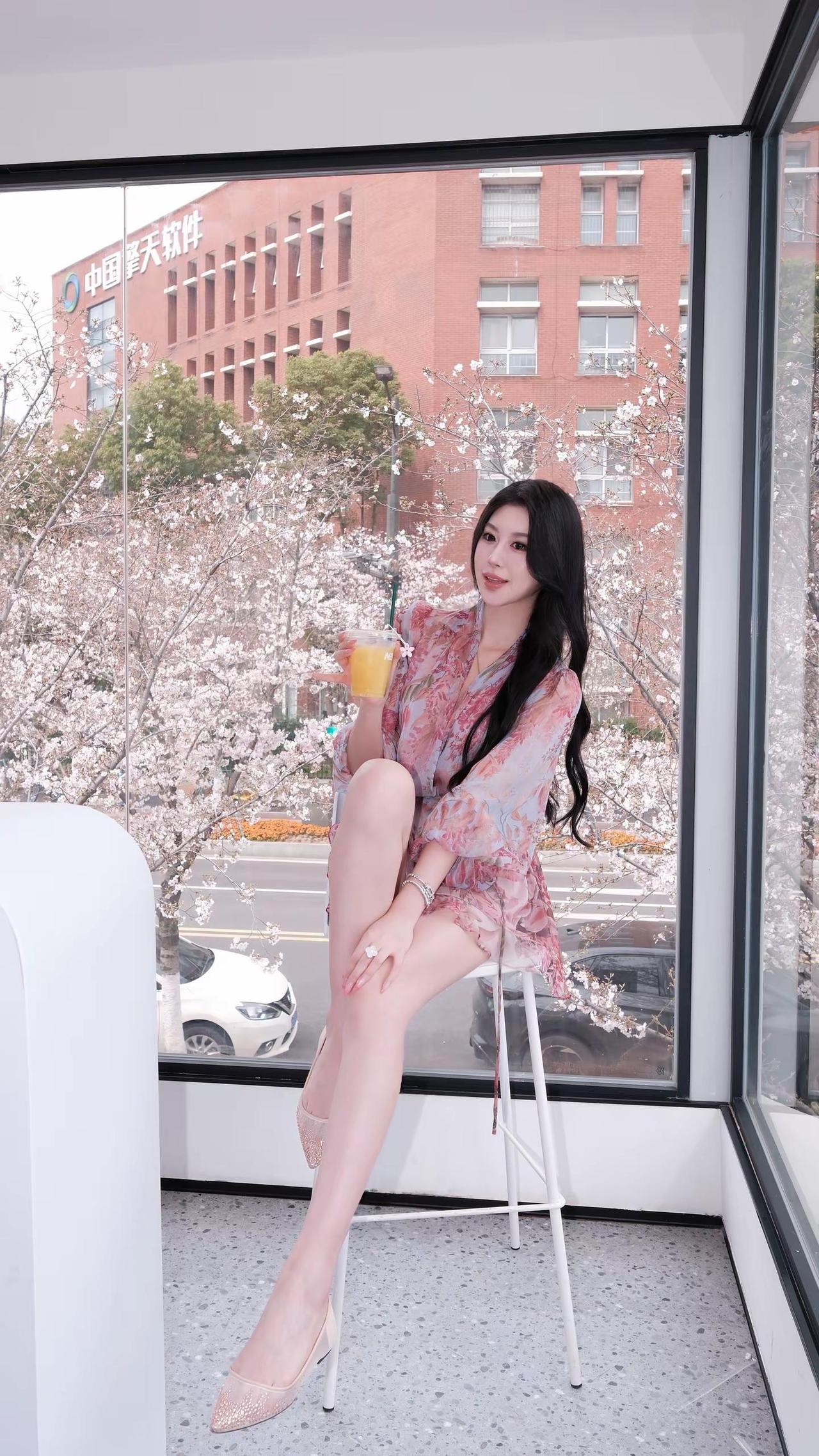 明媚是我的天赋樱花樱花季限定