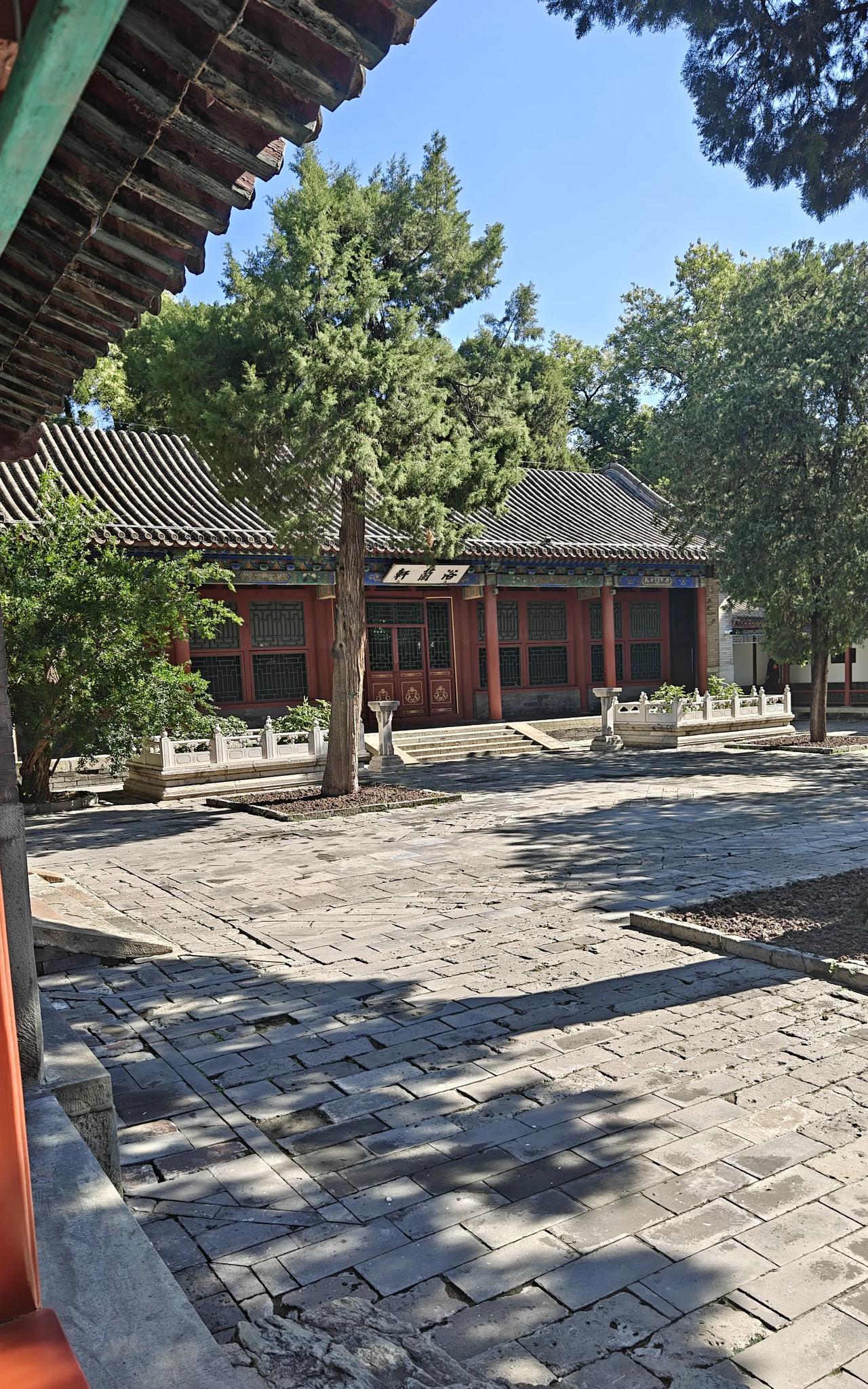 现在我是孩子不管了，每天守着老妈和我家老张。当然重心基本上还是在老妈那儿，老妈