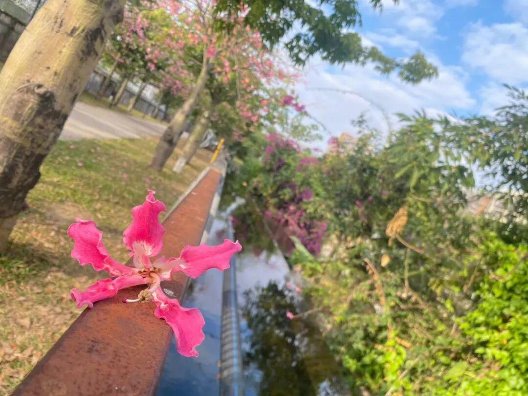 最低8℃! 深圳天气晴燥为主, 冷空气压轴→