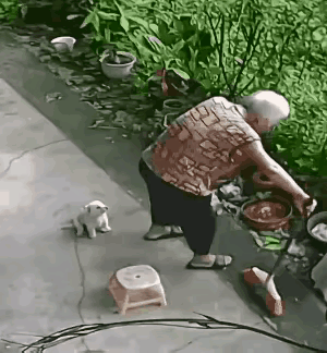 我去这家伙比人有眼力劲多了[滑稽笑]