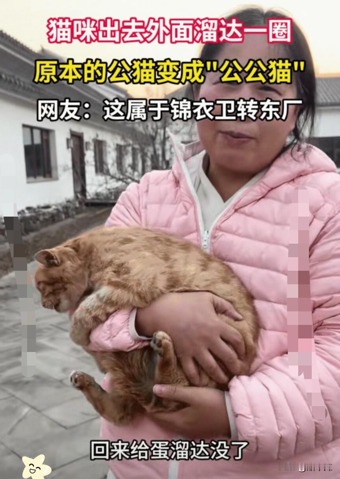 一女子养了一只公猫，不料，这天猫咪私自跑出去玩，几天后猫咪回家，女子发现猫咪喜提