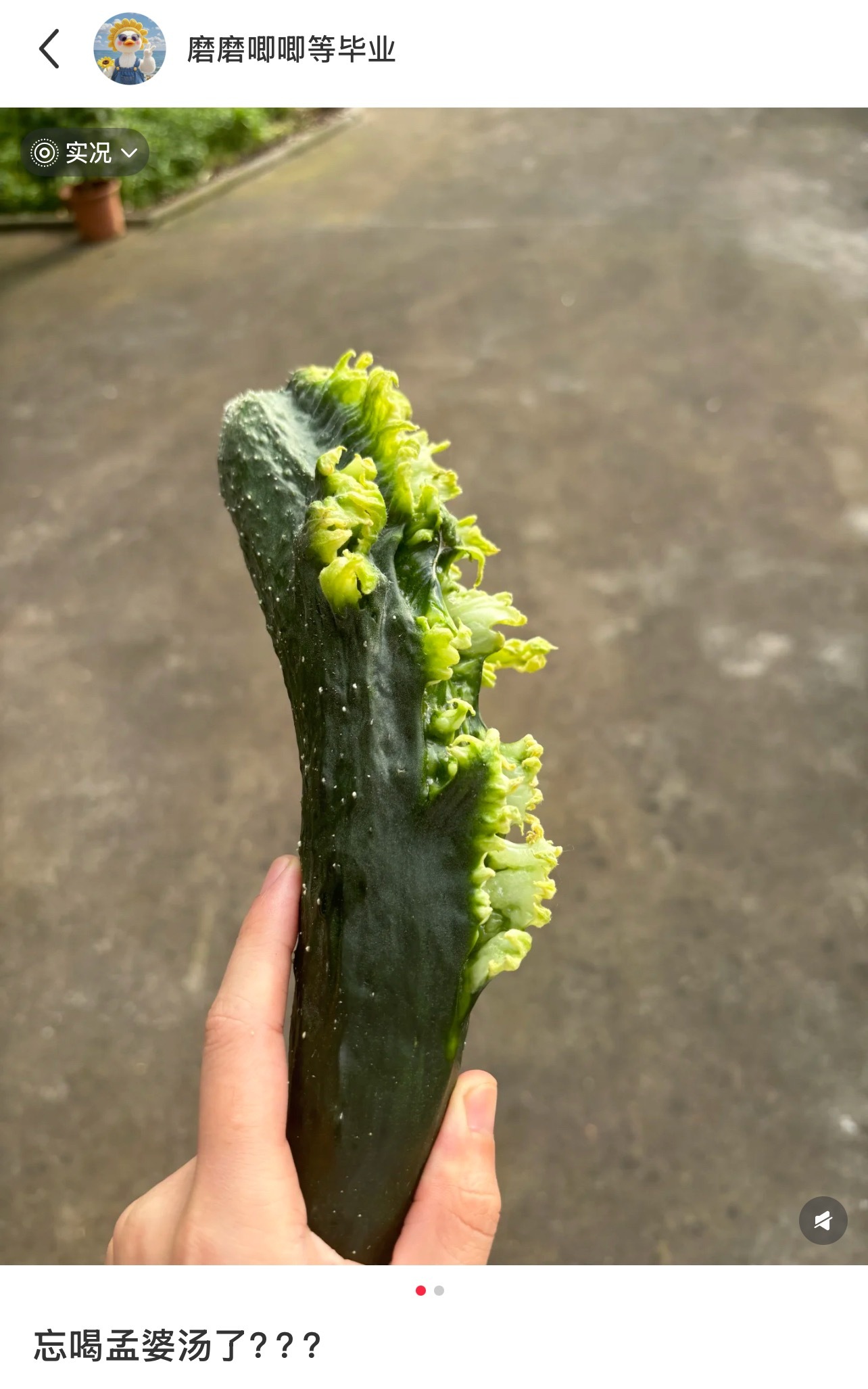今天算是被蔬菜刷新认知了[捂脸哭]​​​