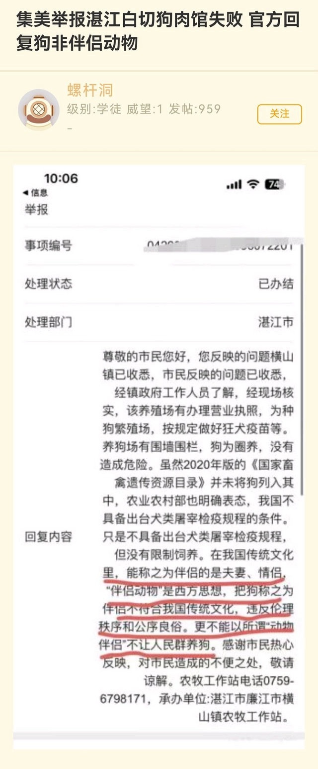 给湛江点赞了👍🏻