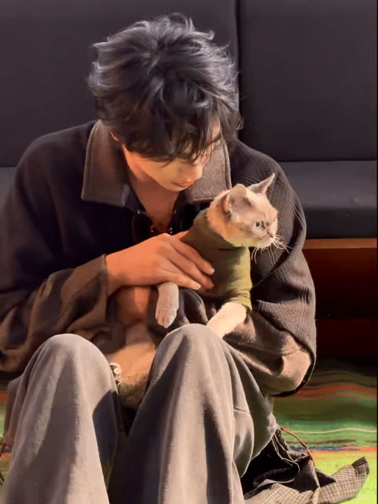 许魏洲完全是猫系啊猫系属性真的藏不住和自家小猫在一起时那种放松慵懒的状态完