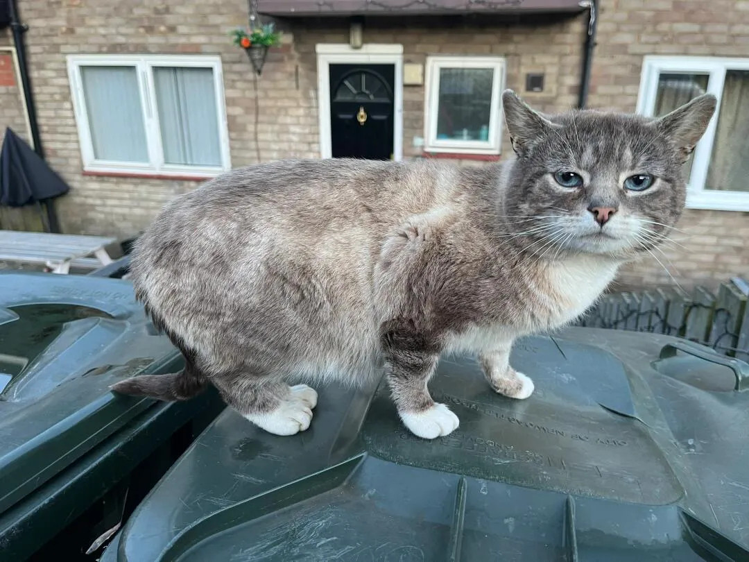 这是什么颜色？