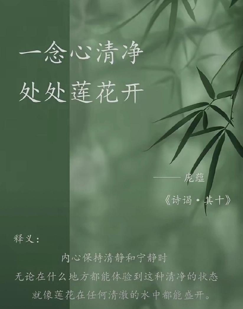 怎样坦然面对人生的风雨个人认为：这个问题的答案应该每个人都是向内求，向自己的心索