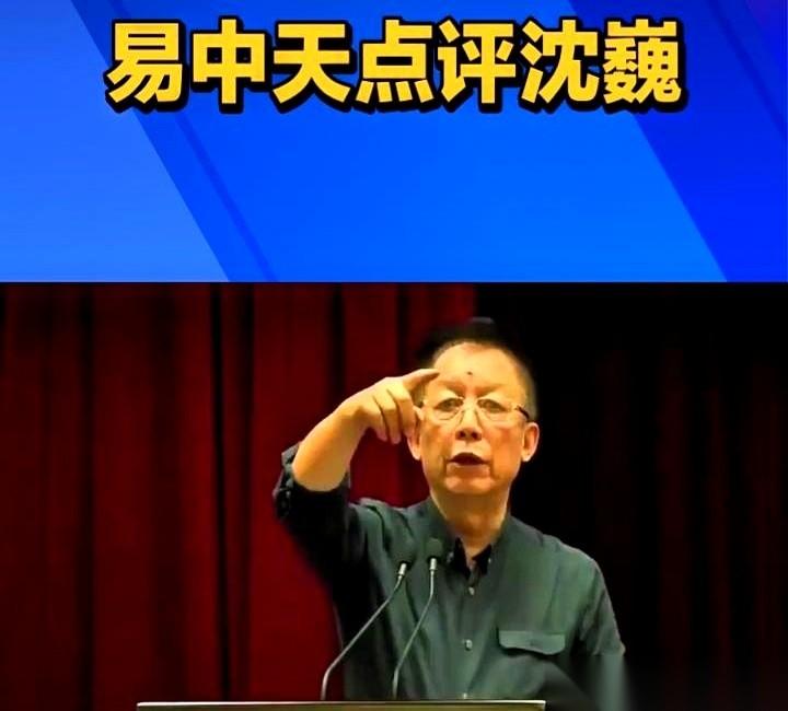 沈巍评价易中天那段,我来来回回看了好几遍。真是杀人诛心。易中天说他知识碎片化