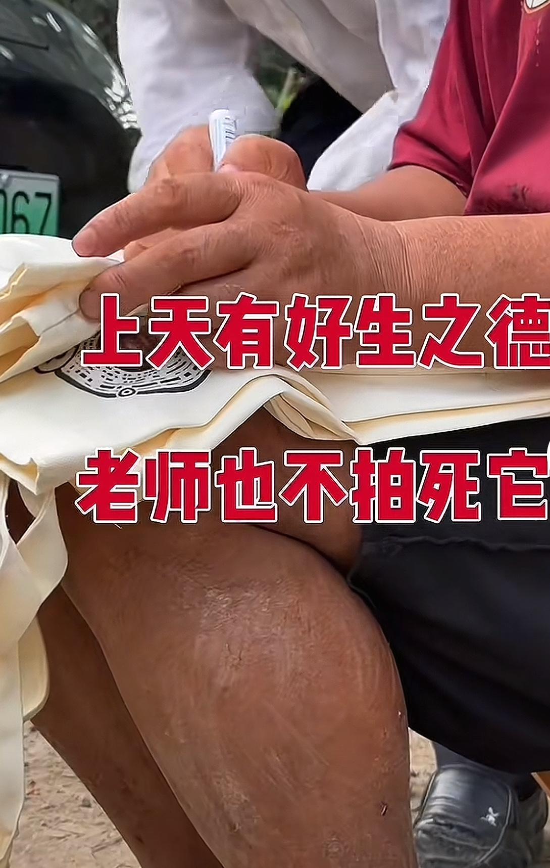 沈巍走红网络，获得许多网友的喜爱。个人认为学习他看读书的习惯是很好的，但不要盲目