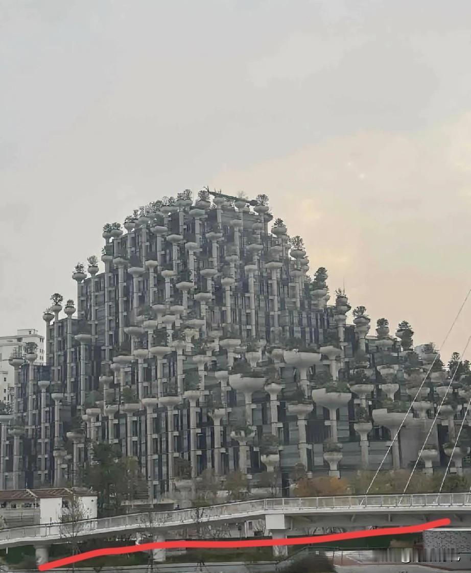 换个角度去欣赏，还是不错的……