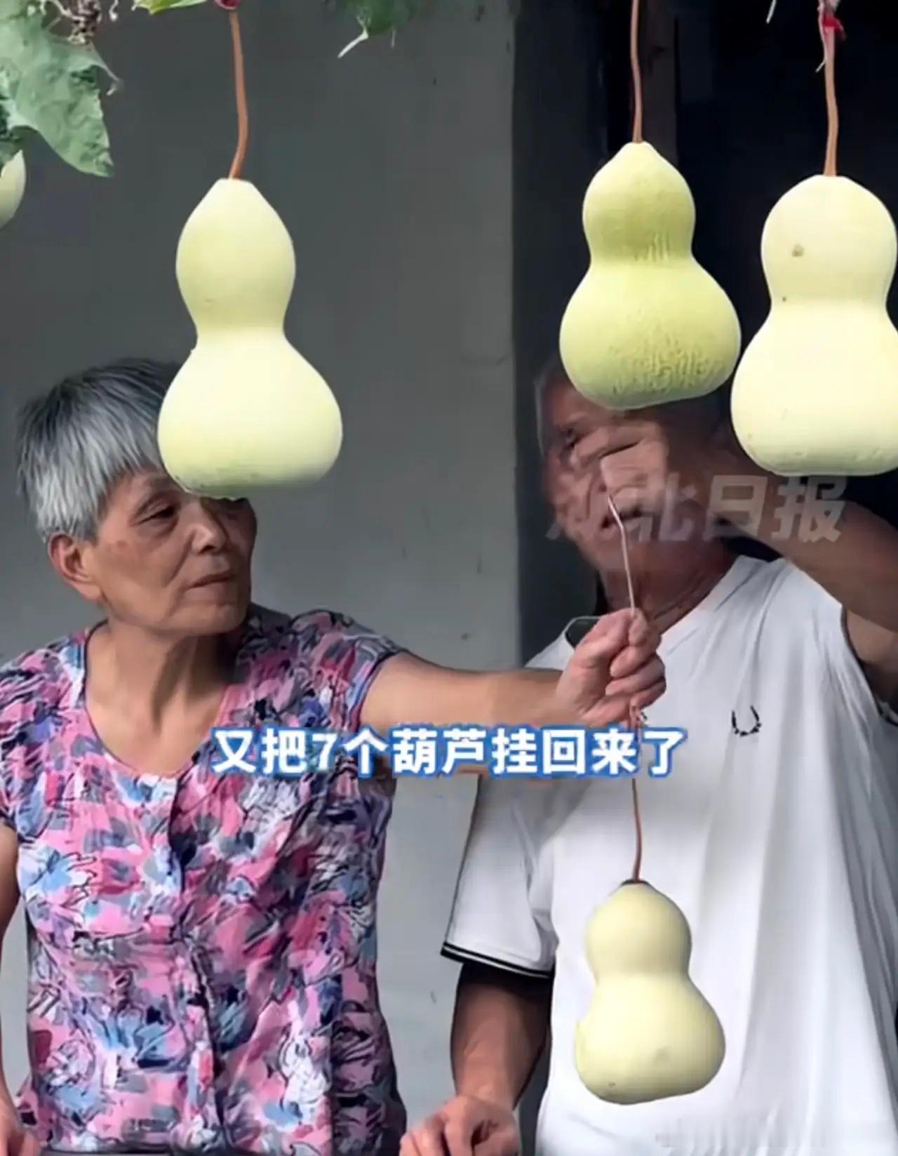 绍兴“葫芦娃爷爷”陈金鳌，又把那7个葫芦挂回去了。面对采访，大爷说了句大实话：“