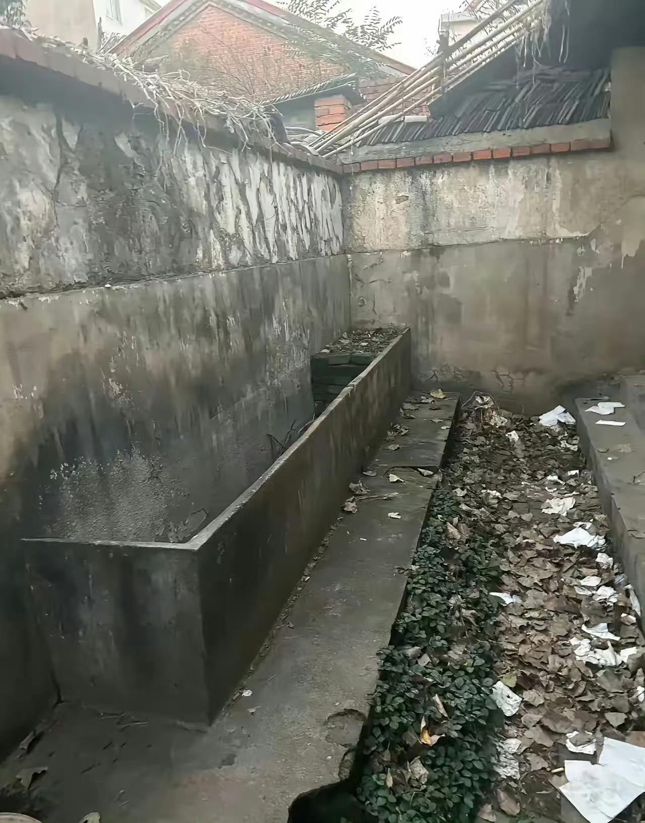 小时候上过，里面都是拖着长尾巴的蛆