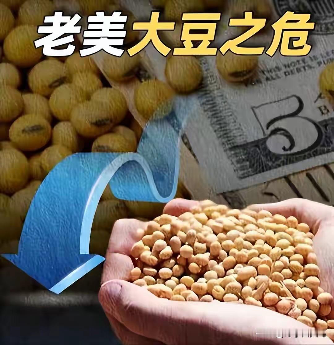 终于硬气了！中国不买美国大豆，特朗普跪求“订单增4倍”也没用还记得之前，
