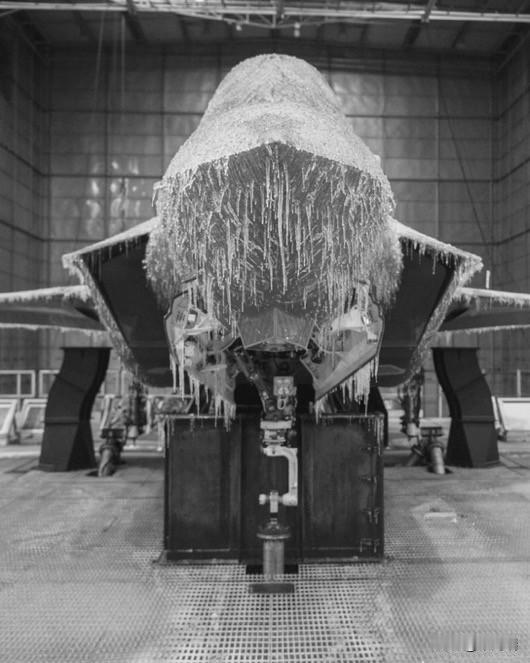 洛克希德·马丁公司公布了一张F-35战斗机在模拟北极条件的冷冻舱中进行测试的照片