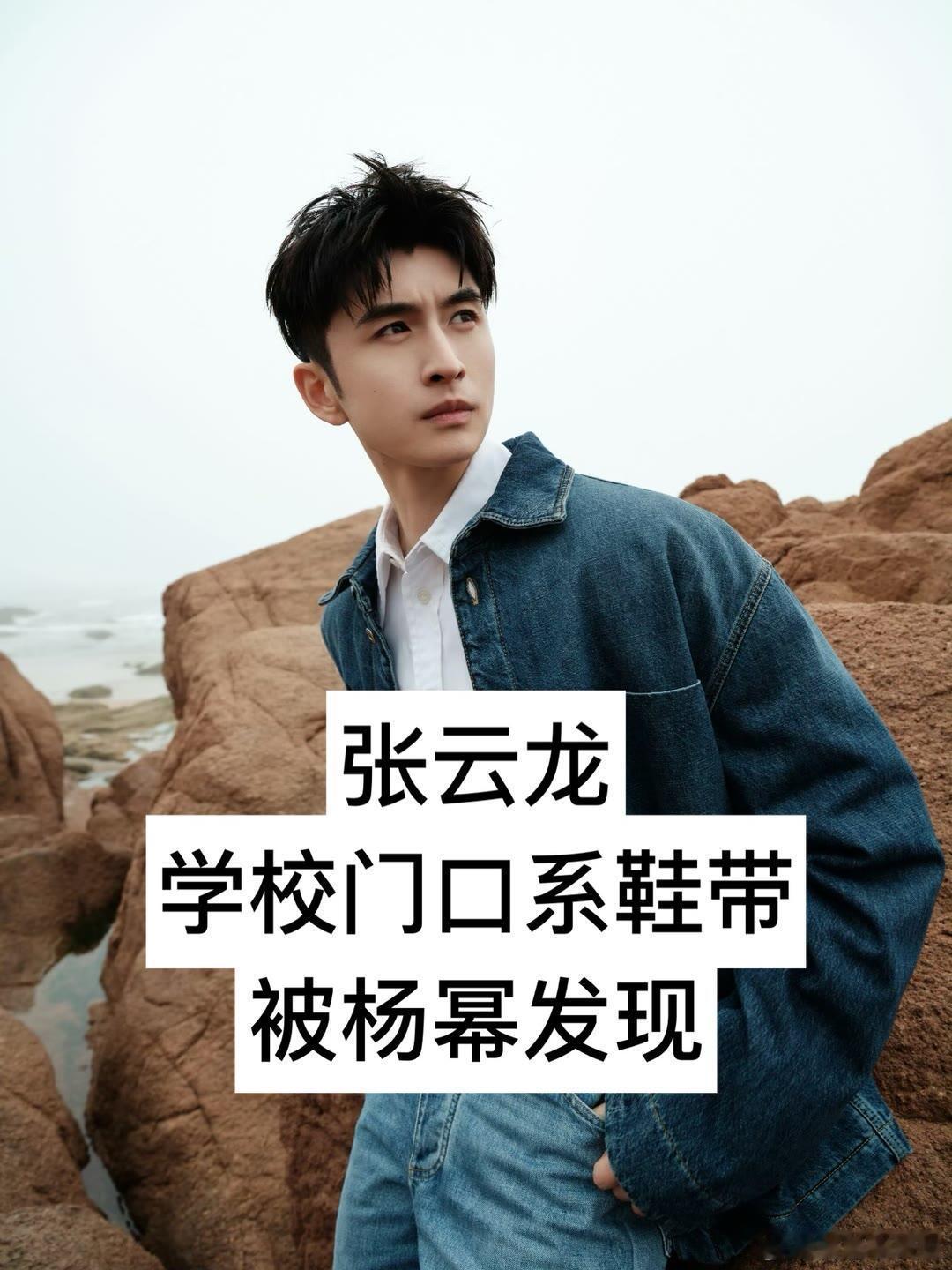 因为意外进入娱乐圈的明星