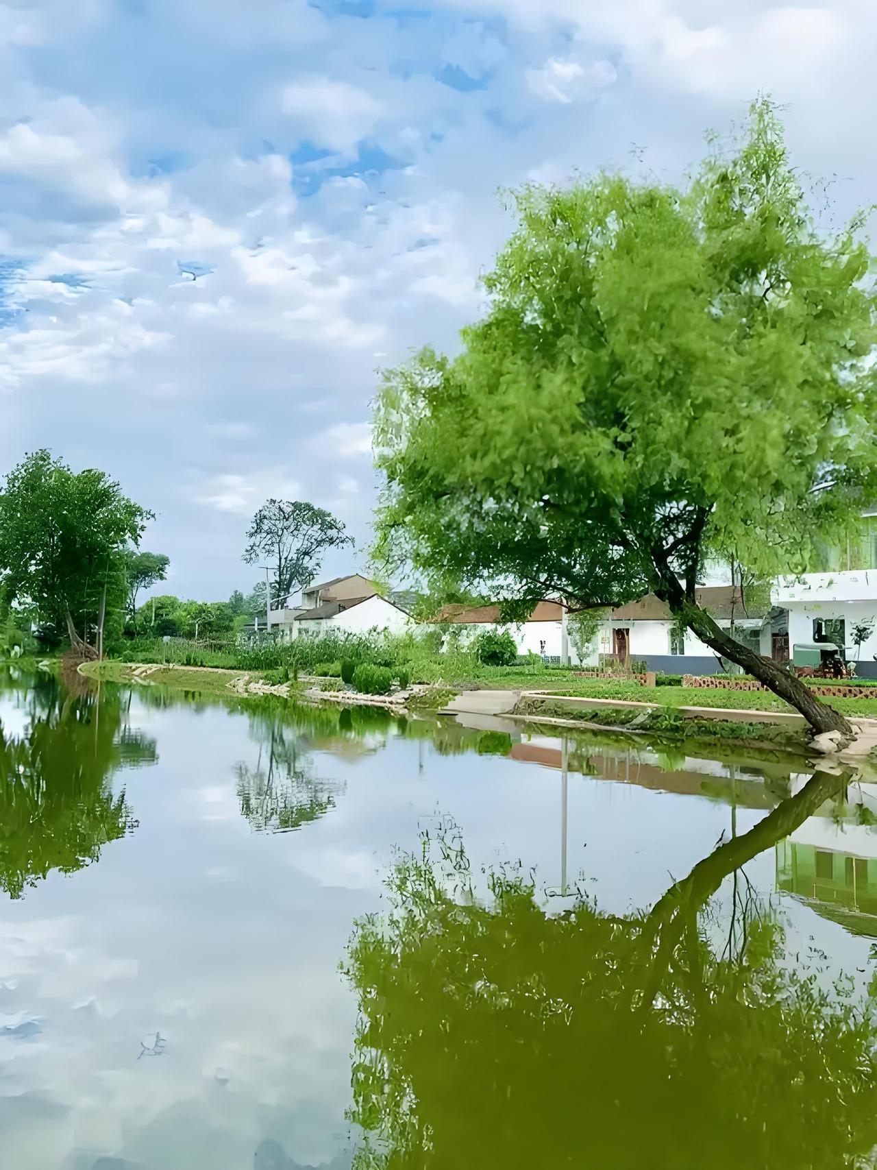 合肥三县的农村老乡们，同样是住在合肥周边的乡村，肥西和长丰的农村人居环境都在大变