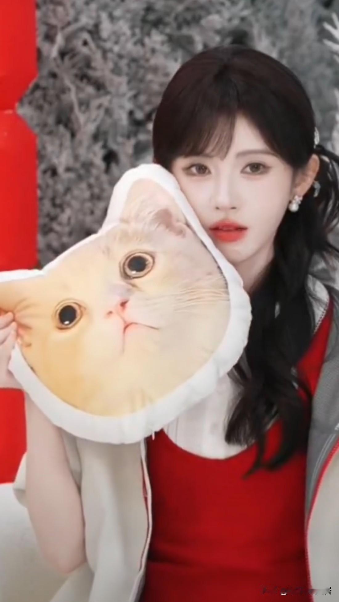 太牛了给你们看看鞠婧祎牛马🐴待遇：据说税前支付超过1.39亿元每月25万固