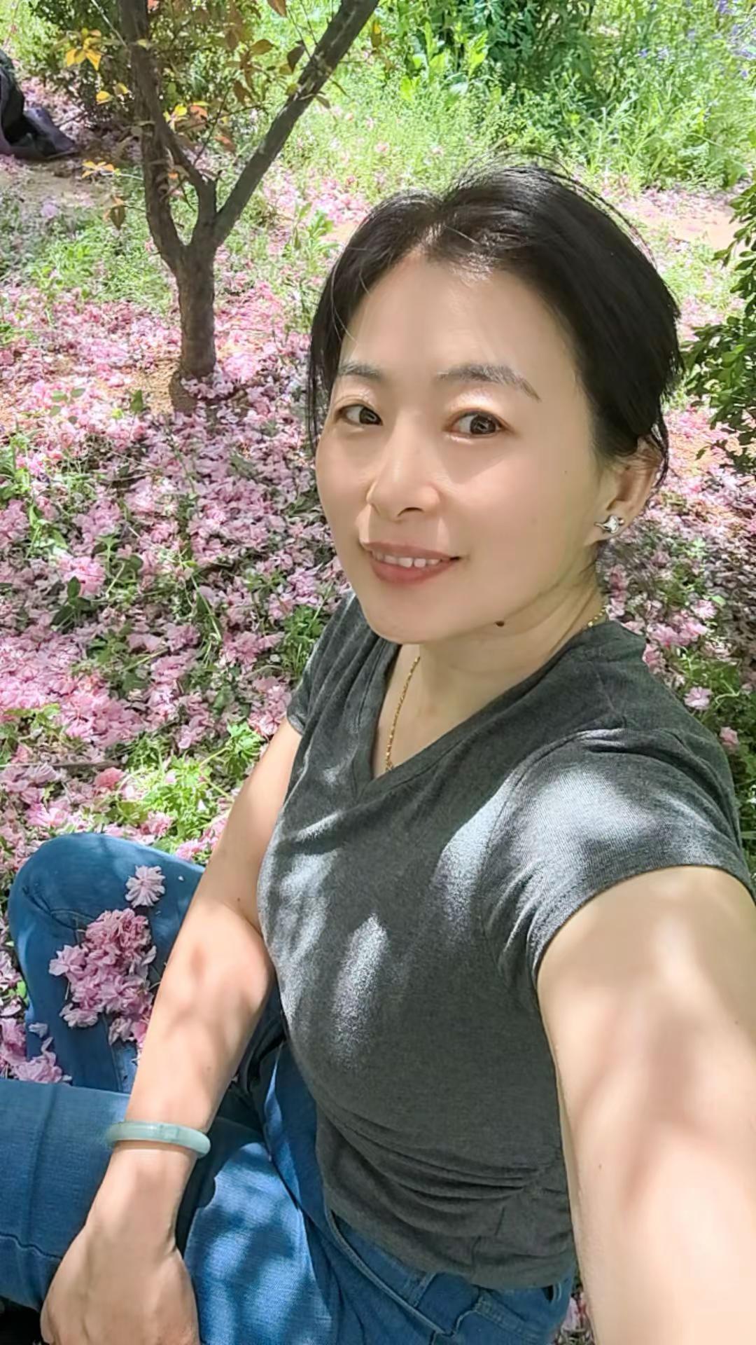 樱花季。美不胜收