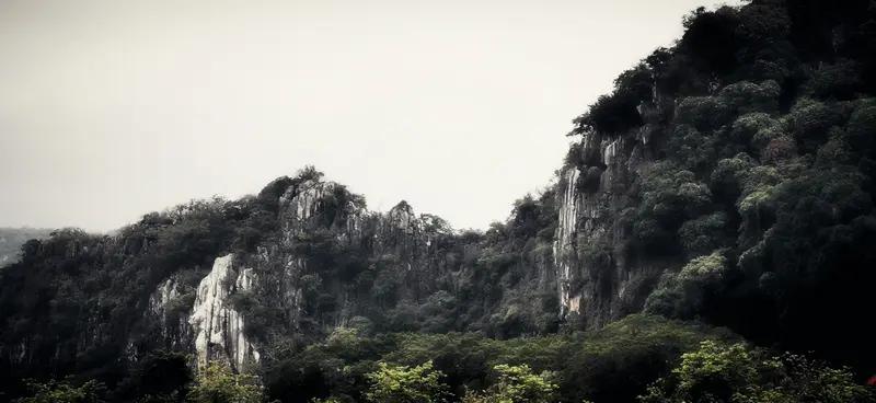 节后这一周，岩山涨了11个点。不是那种旱地拔葱式的狂飙，是悄悄摸摸地往上拱。科技
