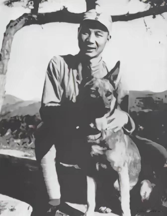 1939年抗战小事：杨成武缴获一头日军狼犬，为何狠心转手送走？1939年秋