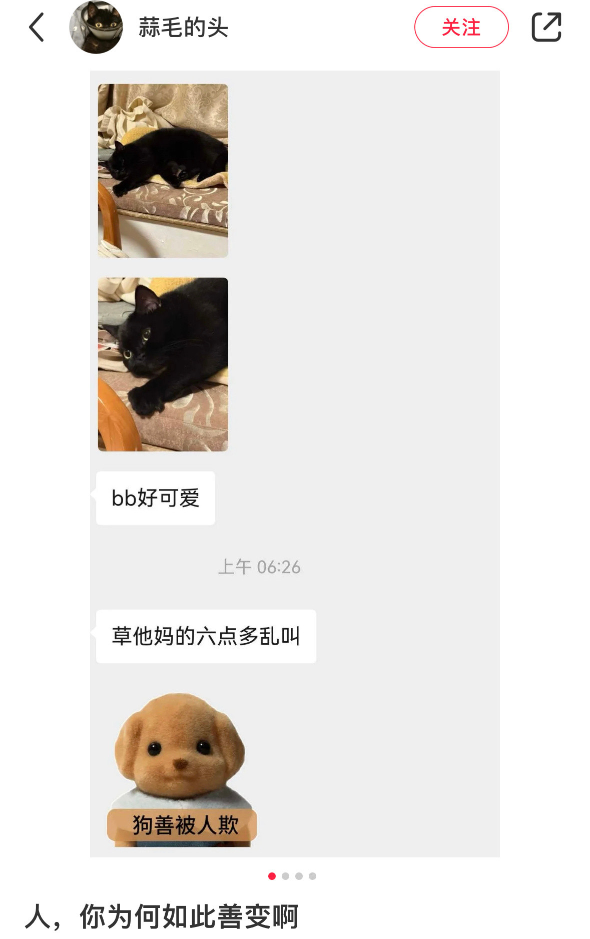 养猫人情绪总是多变的