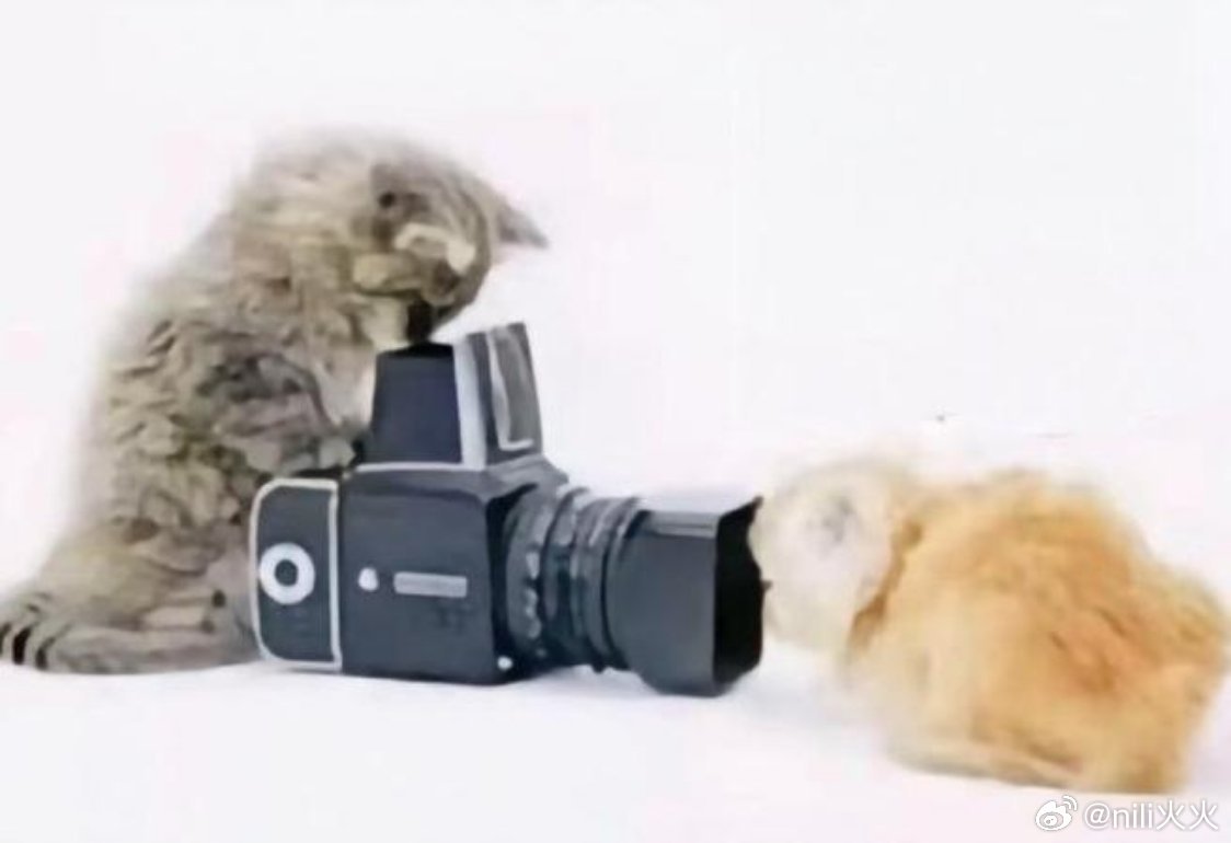 第一排长枪短炮，全部怼着赞咪电视剧品质盛典xz肖战蝴蝶结