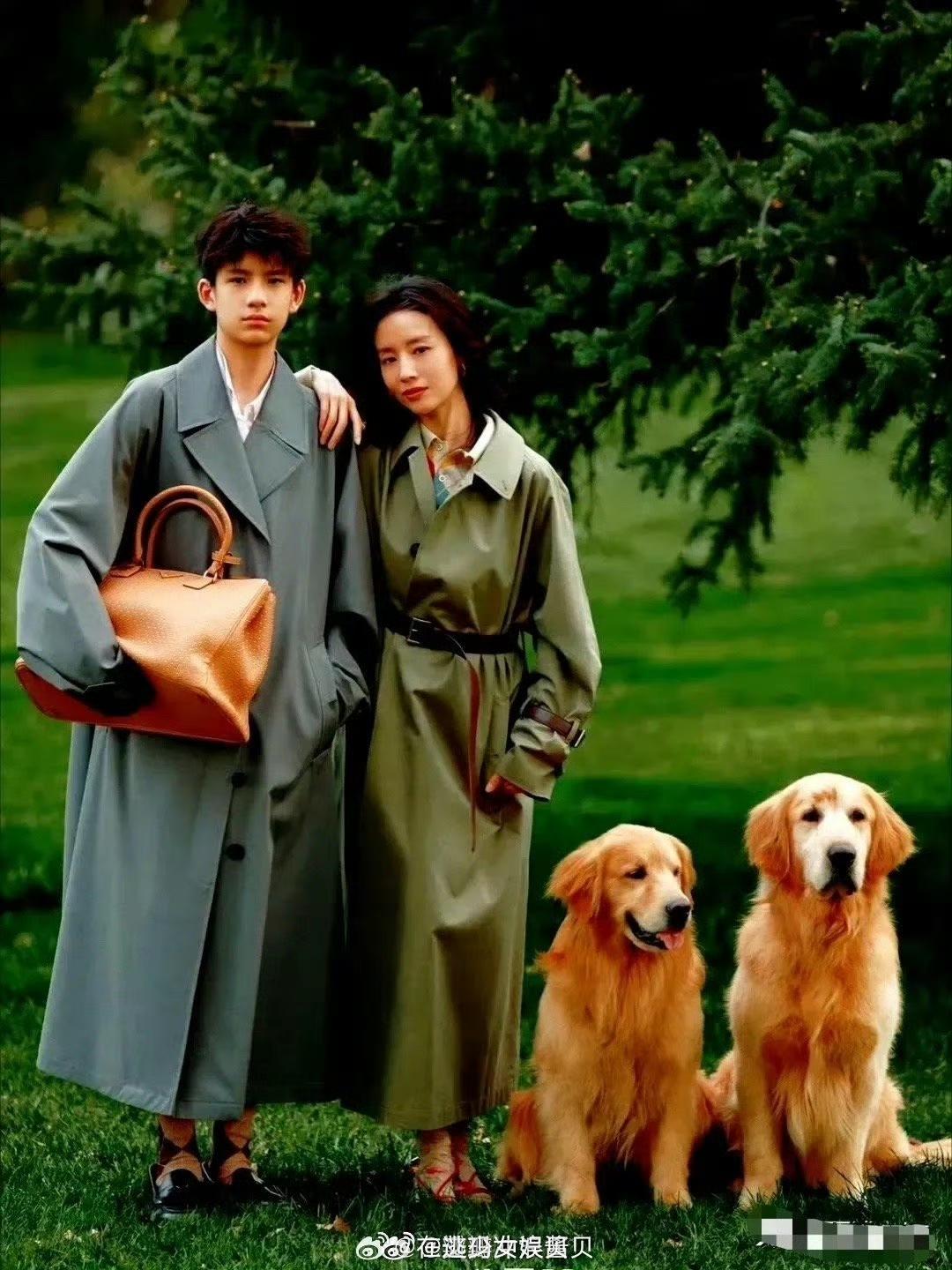 有没有发现董洁的儿子，顶顶特别像胡先煦和杨洋​​​