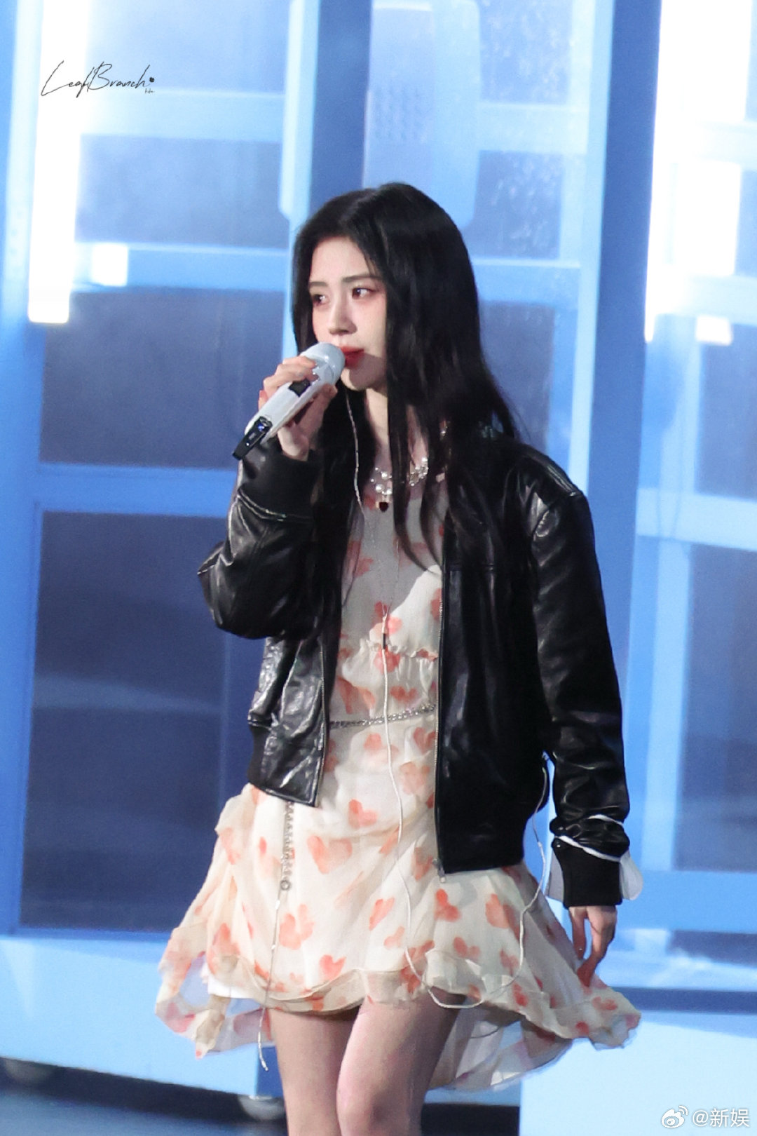 鞠婧祎没走红毯鞠婧祎没走巅峰之夜红毯鞠婧祎没走红毯？咦~我们这么大一个美女鞠婧