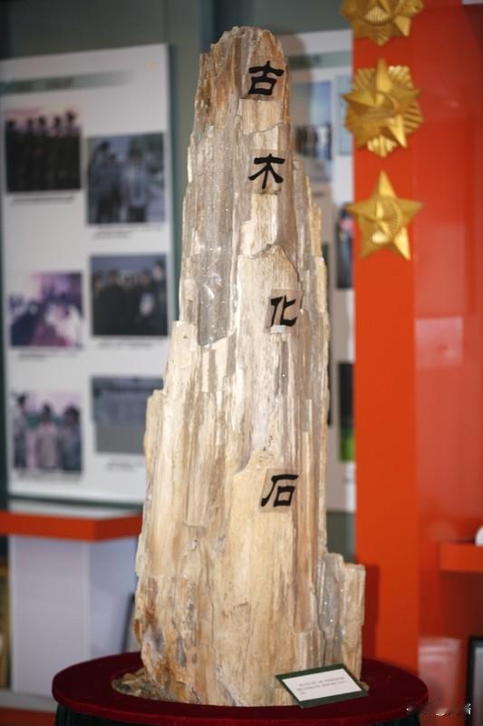 山西阳泉平定县一高速改线工地有大发现！12月3日，工人施工时可能用铲土机挖到了一