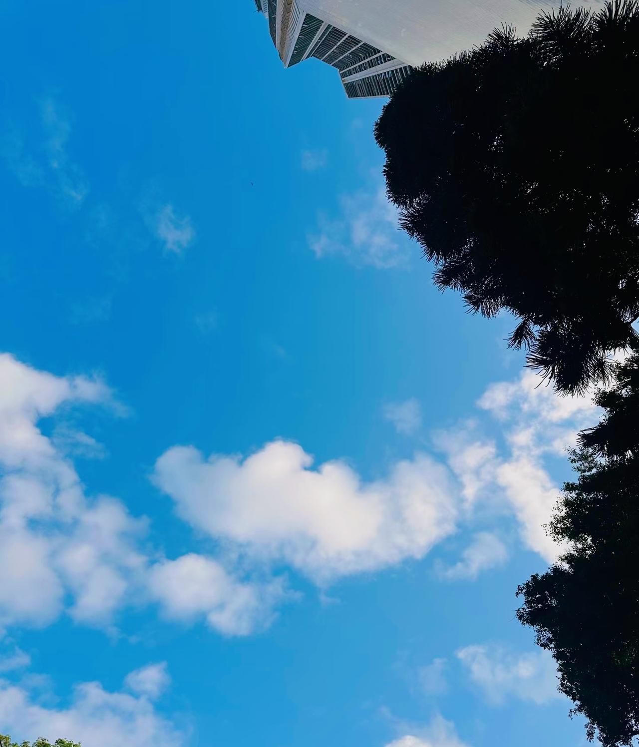 女人追男人，​看的是人品。​​男人追女人，​靠的是什么呢？在这个弱肉强