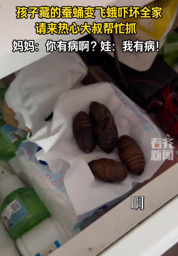 这惊喜来的太大了！黑龙江，一女孩找到妈妈，跟她说自己在床头柜里藏了一个惊喜，谁知