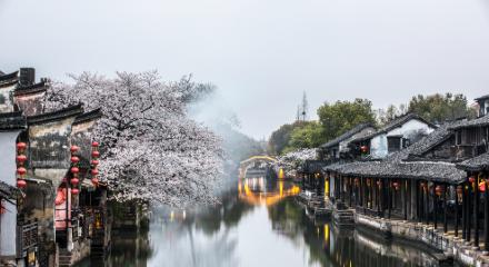 2025年浙工大在浙江省内的最低投档分是609分，对应全省位次41908名。但注