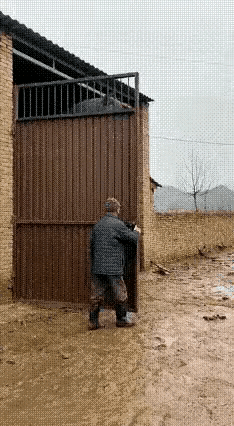 这要是真的，体重可以与大象相比……