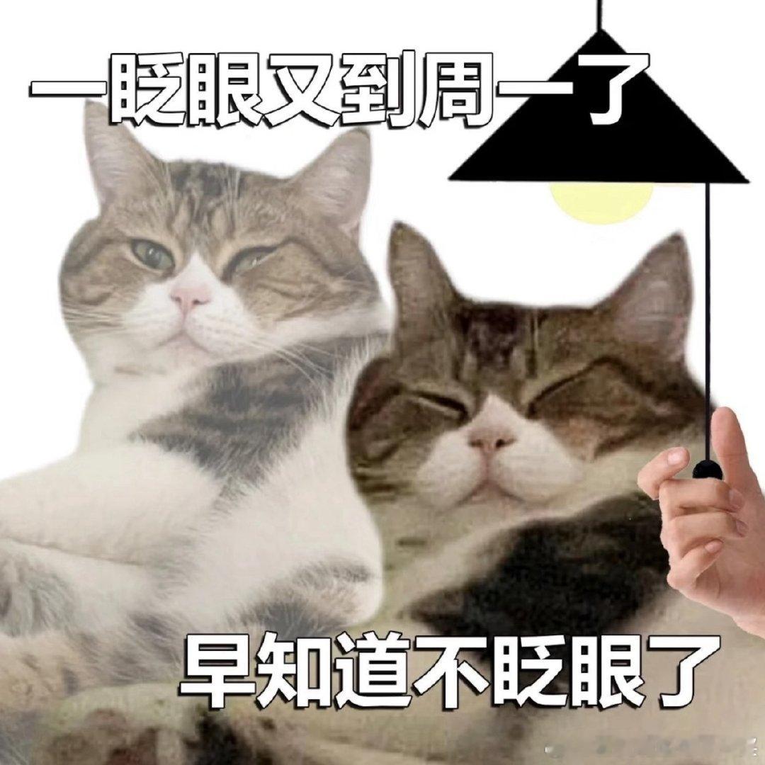 新的一周新的开始！周一早安，奔赴新程！本周目标：深耕当下，财喜渐至早安周一早上好