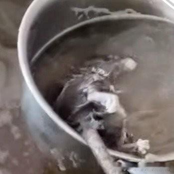 早餐汤里捞出死老鼠！脚都熬白了，在外吃饭这3招护好肠胃12月25号广西百色