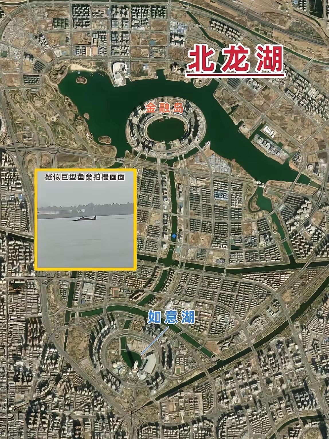 郑州北龙湖现3米巨型大鱼，官方排查后，反而更神秘了！先说说这个湖，郑州北龙湖，是