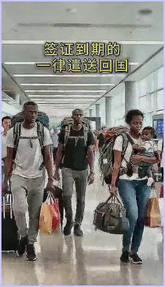 签证到期了，被遣送回国。他们一个个愁眉苦脸。看得出，他们对东大很是依依不舍。