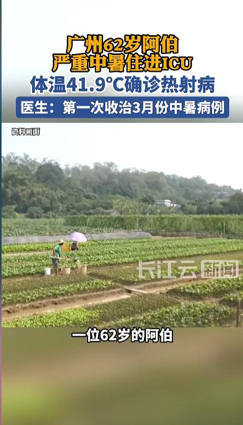 “这谁敢信啊！”今年三月份，广东广州，一位62岁的阿伯，中午在地里干了两三个小时