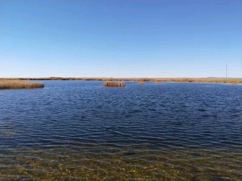 腾格里沙漠中的青土湖最大水域面积达4300平方公里，在唐朝以前，腾格里沙漠可是有